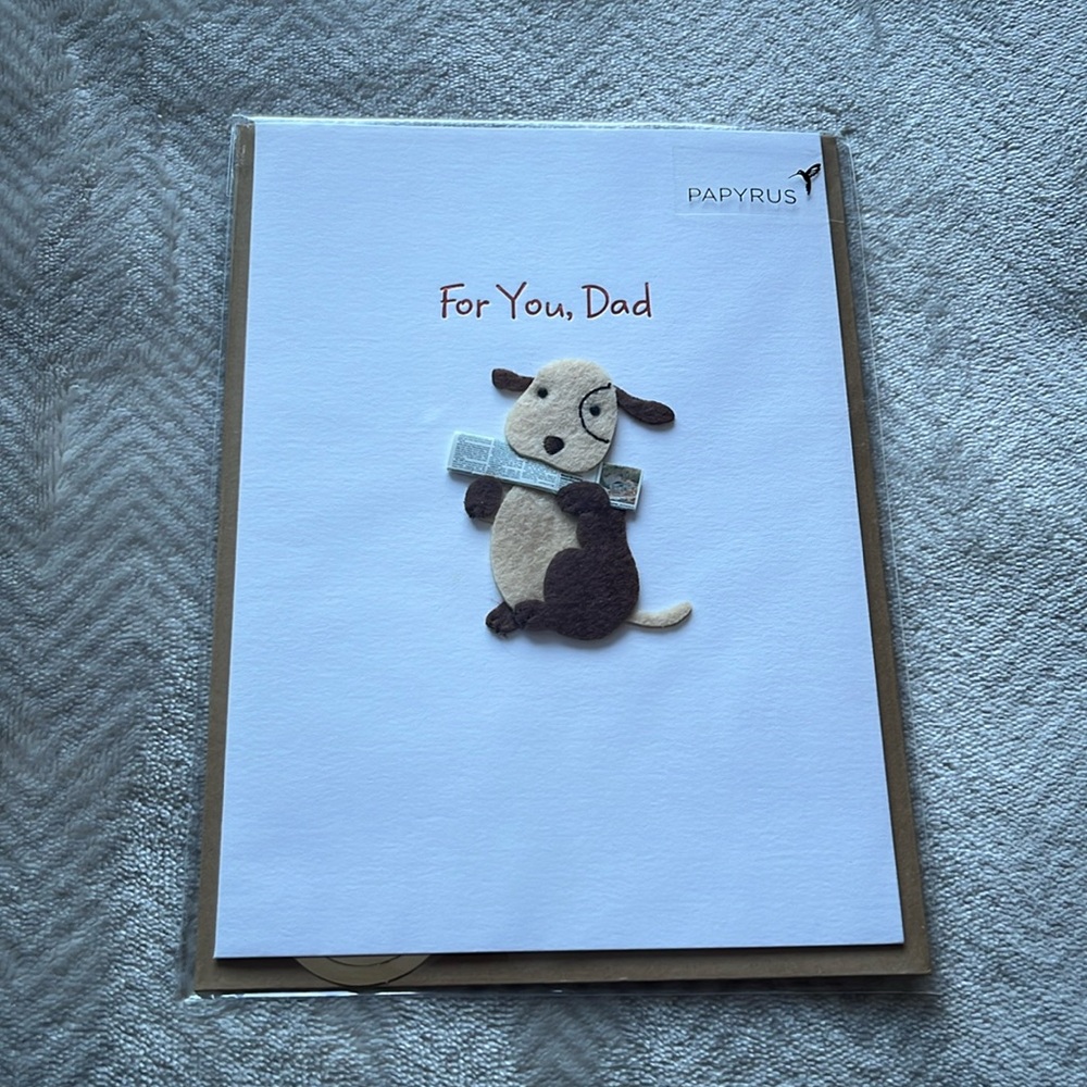 💚5/$25 Papyrus Bundle | Father’s Day